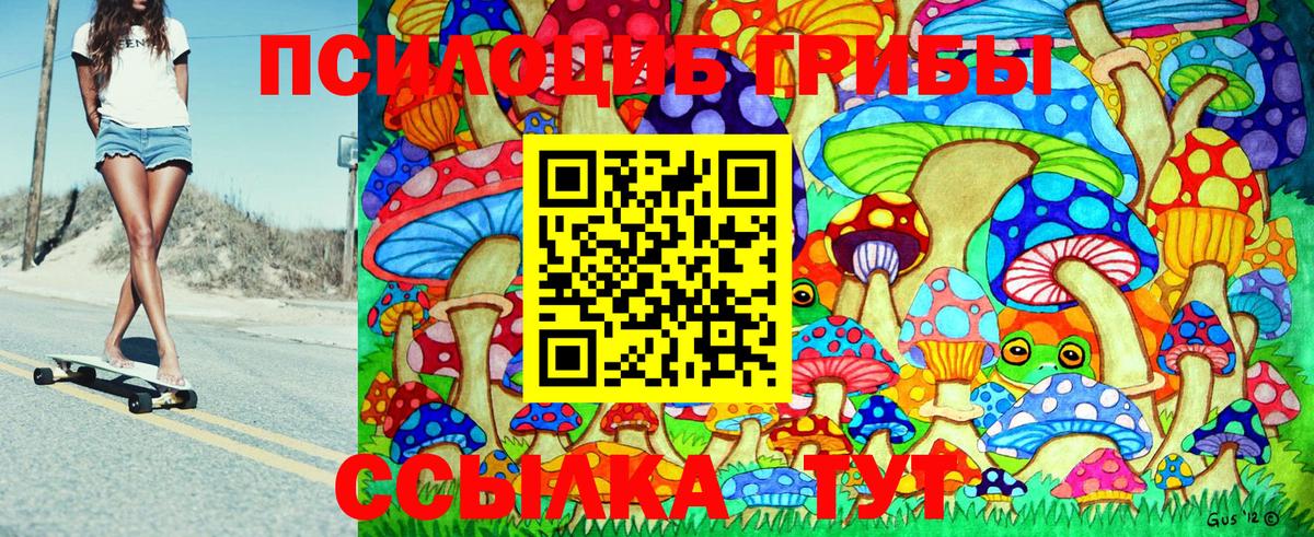 Санкт-Петербург  что такое   Вход с VPN  Галлюциногенные грибы прущие грибы 
